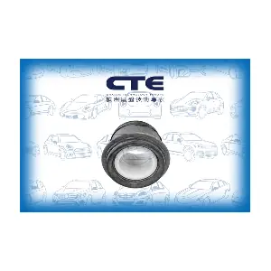 CBH05024 CTE