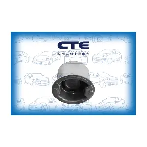 CTE CBH03089