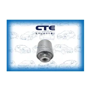 CBH03047 CTE