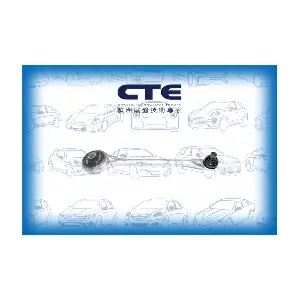 CS-1910 CTE