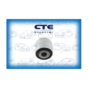 CBH32003 CTE