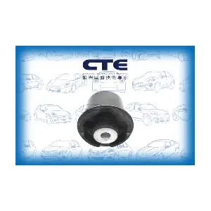 CBH21037 CTE