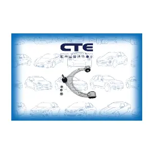 CS-3409 CTE