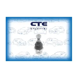CBJ21007 CTE