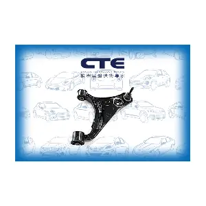 CS-3109L CTE