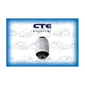 CBH17019 CTE
