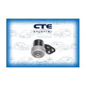 CBH15013 CTE