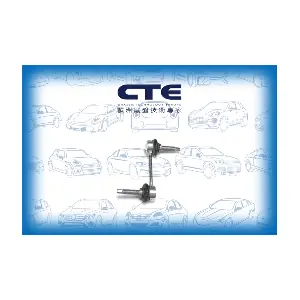 CSL31008 CTE