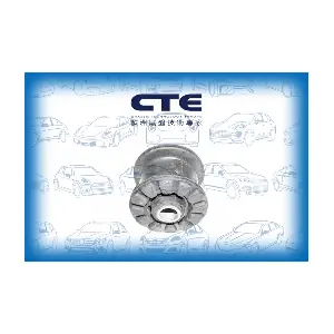 CBH20003 CTE