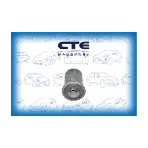 CBH17003 CTE