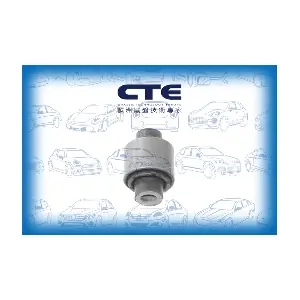 CBH20021 CTE
