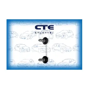 CSL31005 CTE