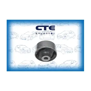 CBH01041 CTE