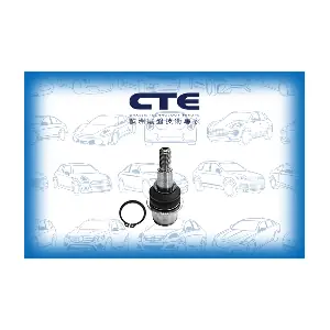 CTE CBJ31003