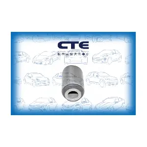 CBH06033 CTE