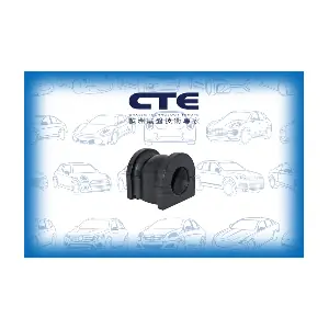 CBH01055 CTE