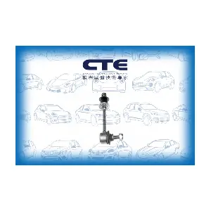 CSL30001 CTE