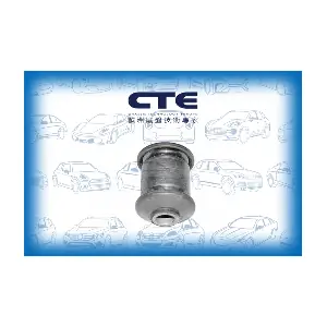 CBH20005 CTE