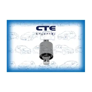 CBH17020 CTE