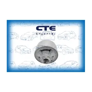 CBH02029 CTE