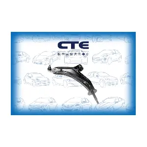 CS3103L CTE