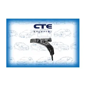 CS-313L CTE