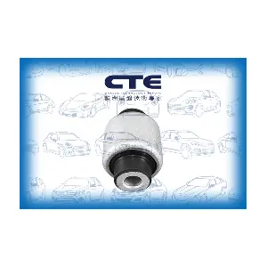 CBH21039 CTE