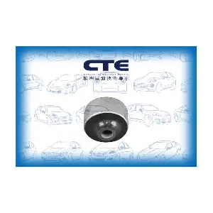 CBH28002 CTE