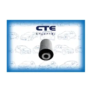 CTE CBH20026