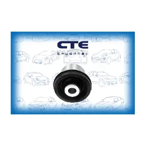 CBH09024 CTE