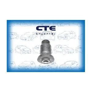 CBH03028 CTE