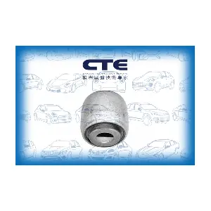CBH17009 CTE