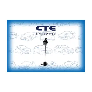 CSL31004 CTE