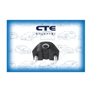 CBH16007 CTE