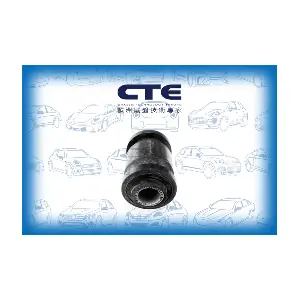 CBH02028 CTE
