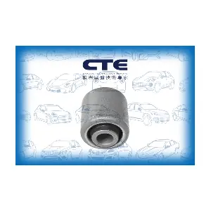 CBH09026 CTE