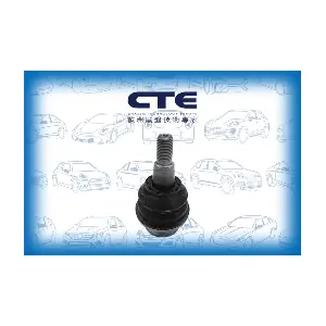 CBJ19013 CTE
