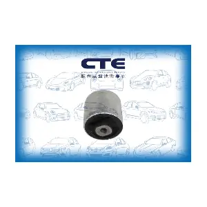 CBH19034 CTE