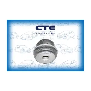 CTE CBH21001
