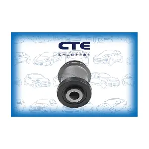 CBH03087 CTE