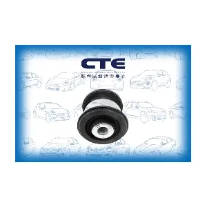 CBH20010 CTE