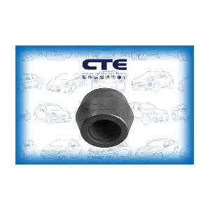 CBH04002 CTE