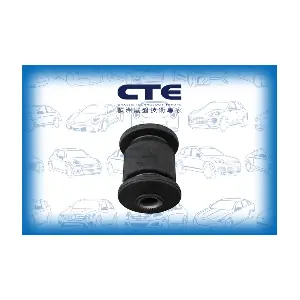 CBH28004 CTE