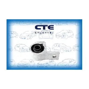 CBH16012 CTE