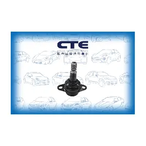 CBJ09012 CTE