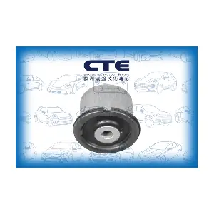 CBH19033 CTE