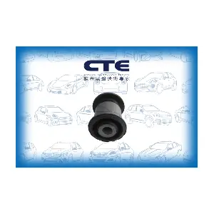 CBH20027 CTE