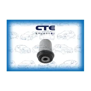 CBH21008 CTE