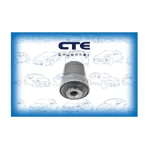 CBH31011 CTE