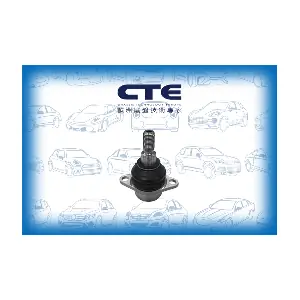 CBJ31005 CTE